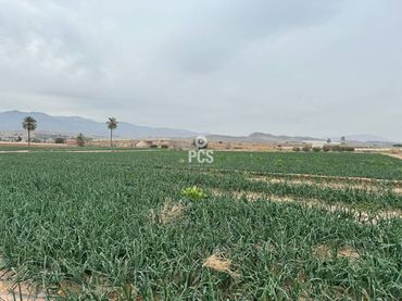 Rustikales Grundstück zum Verkauf in Camino Huertos Nuevos Zona Ñorica S/N
