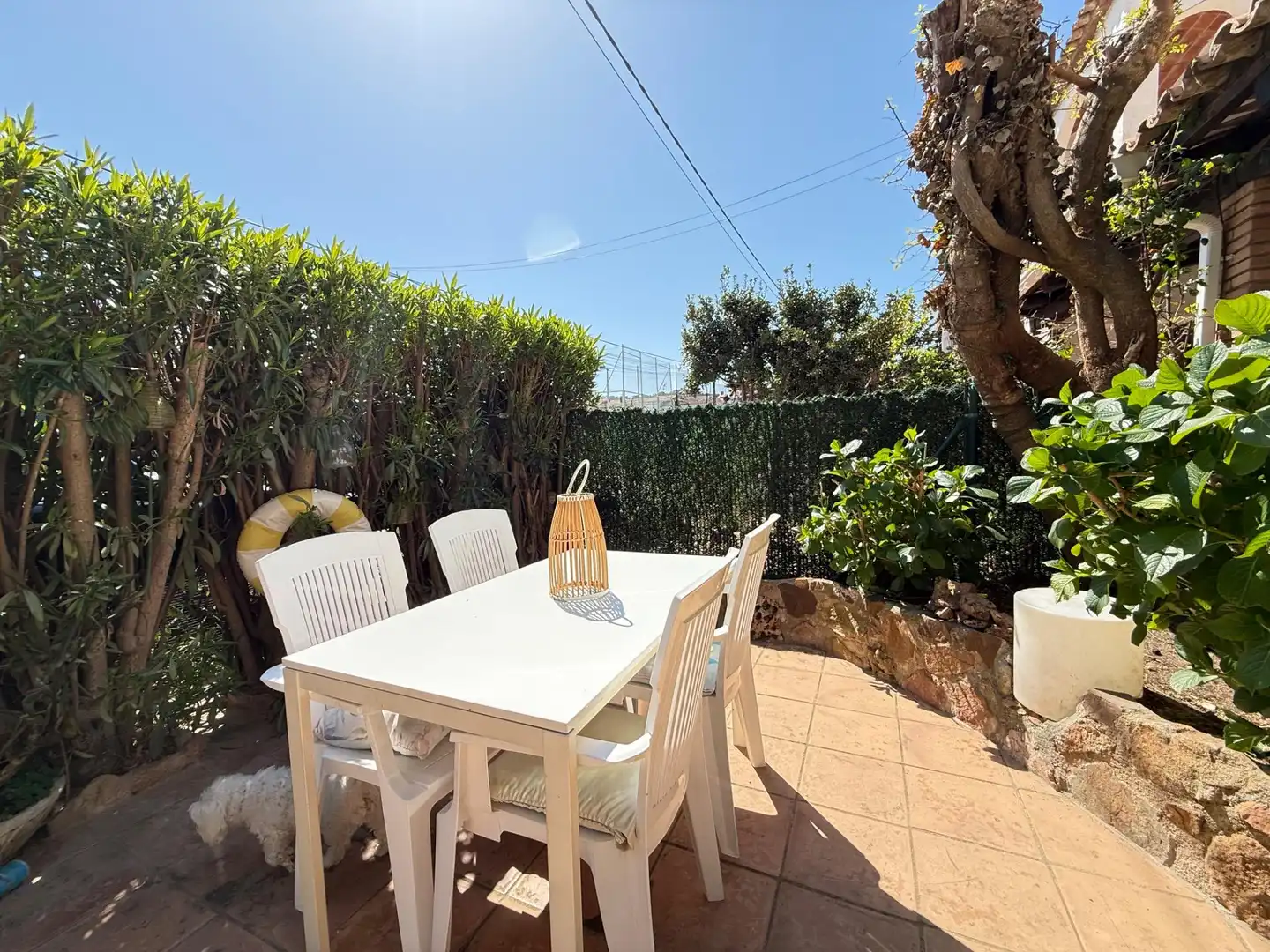 Haus mit Terrasse zur Miete in Platja d'Aro, imagen 2