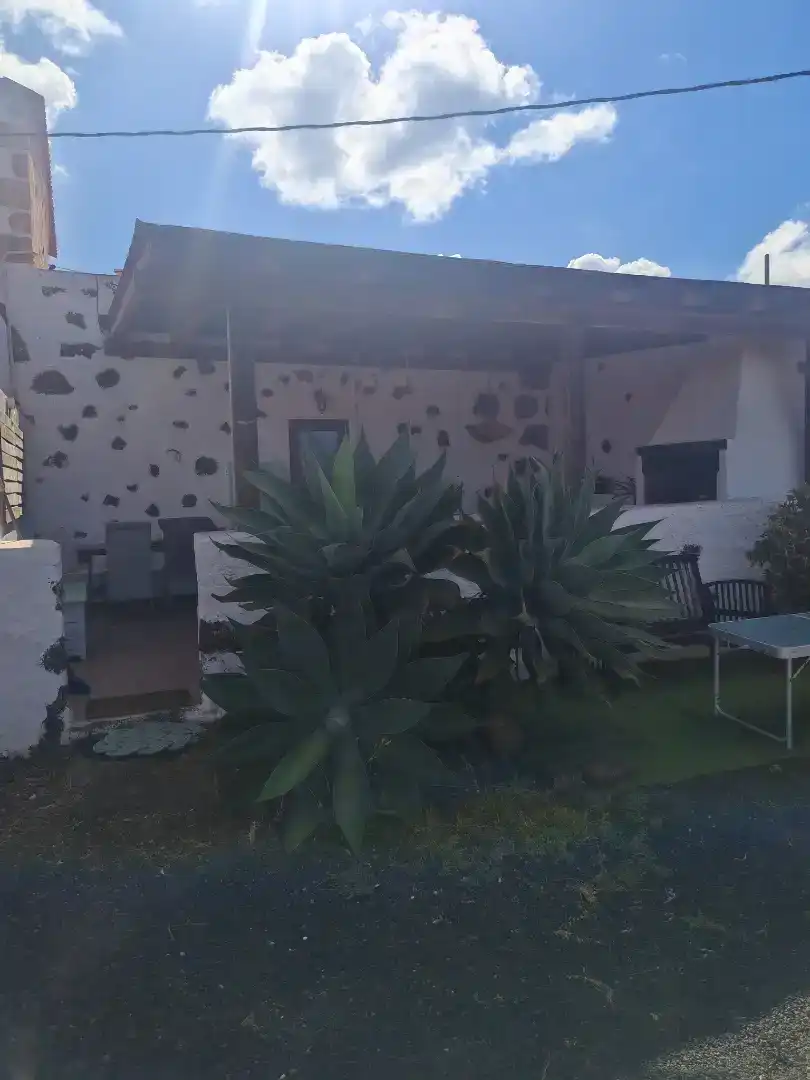 Garten von Country house zur Miete in La Oliva mit Möbliert