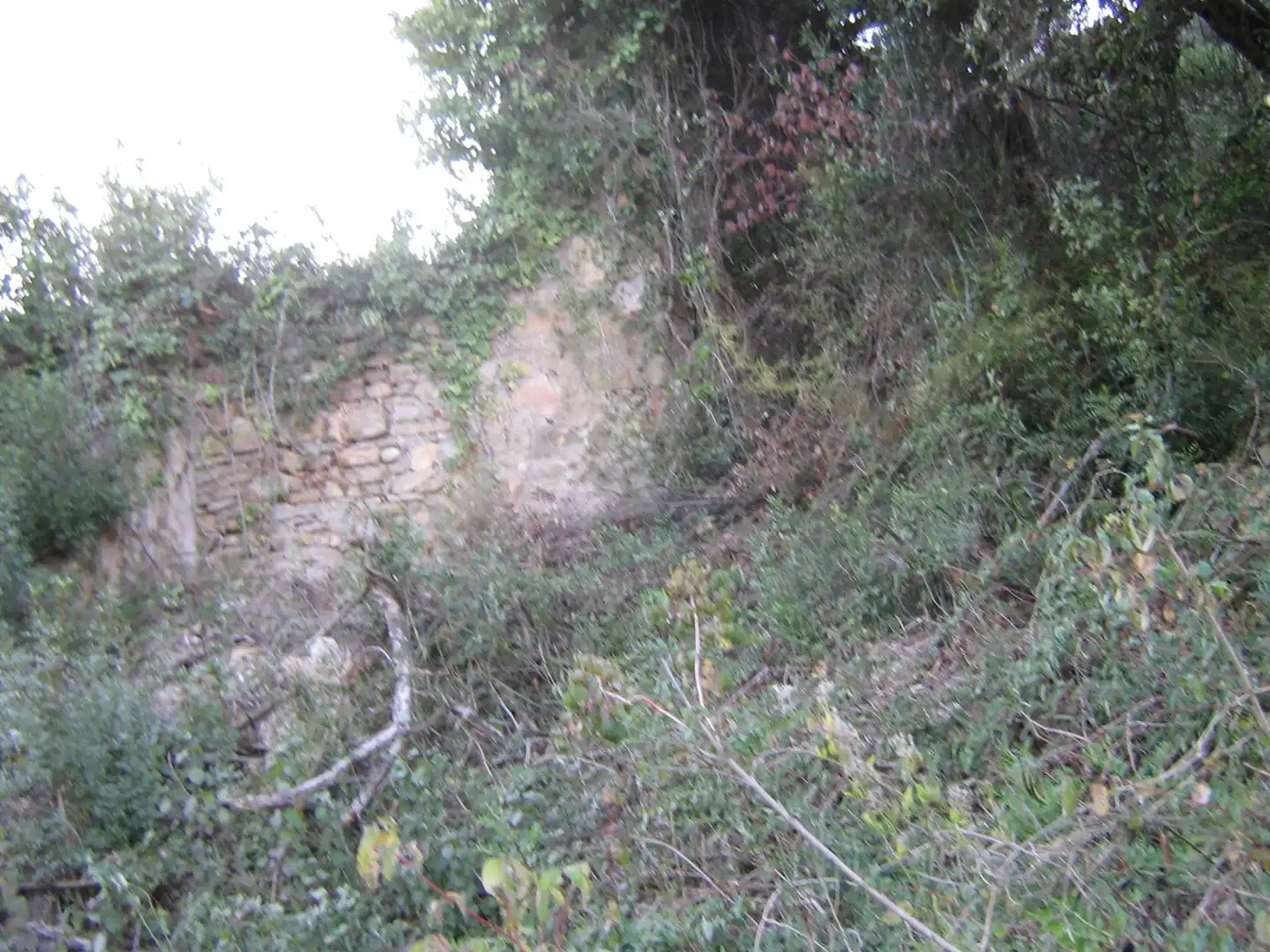 Rural land for sale in Montagut i Oix, imagen 2