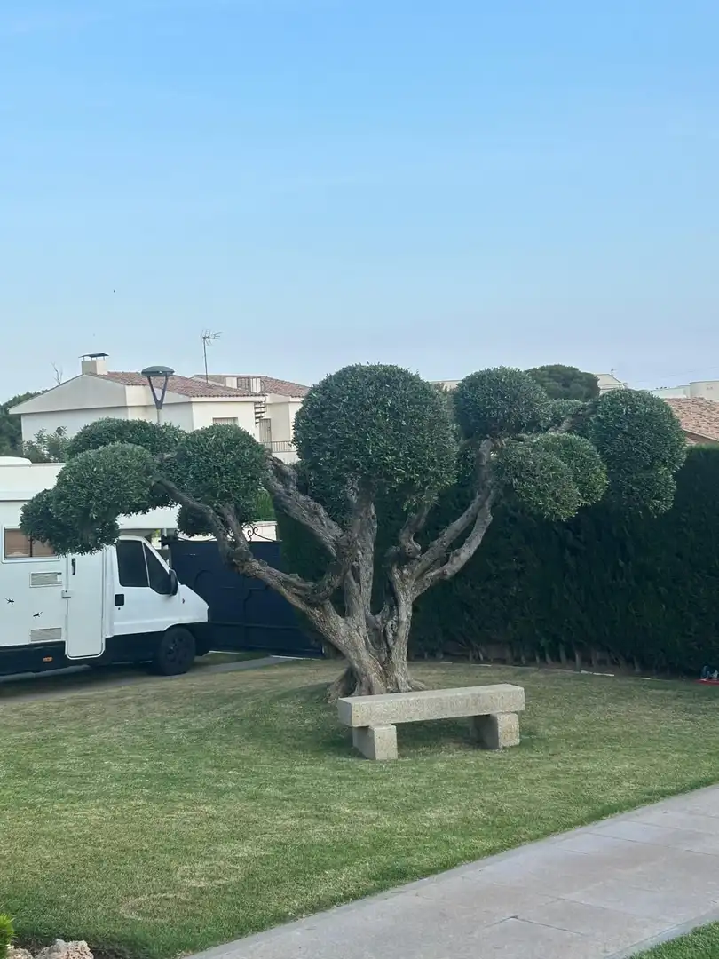 Villa avec piscine à vendre à JOAN PI I MARGALL, imagen 40