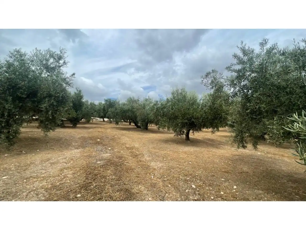 Terreno residenziale in vendita a Avenida Fuente de las Piedras, imagen 5