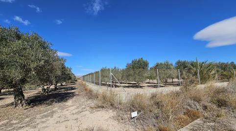 Photo 4 of House or chalet for sale in Pedanías Oeste, Aspe