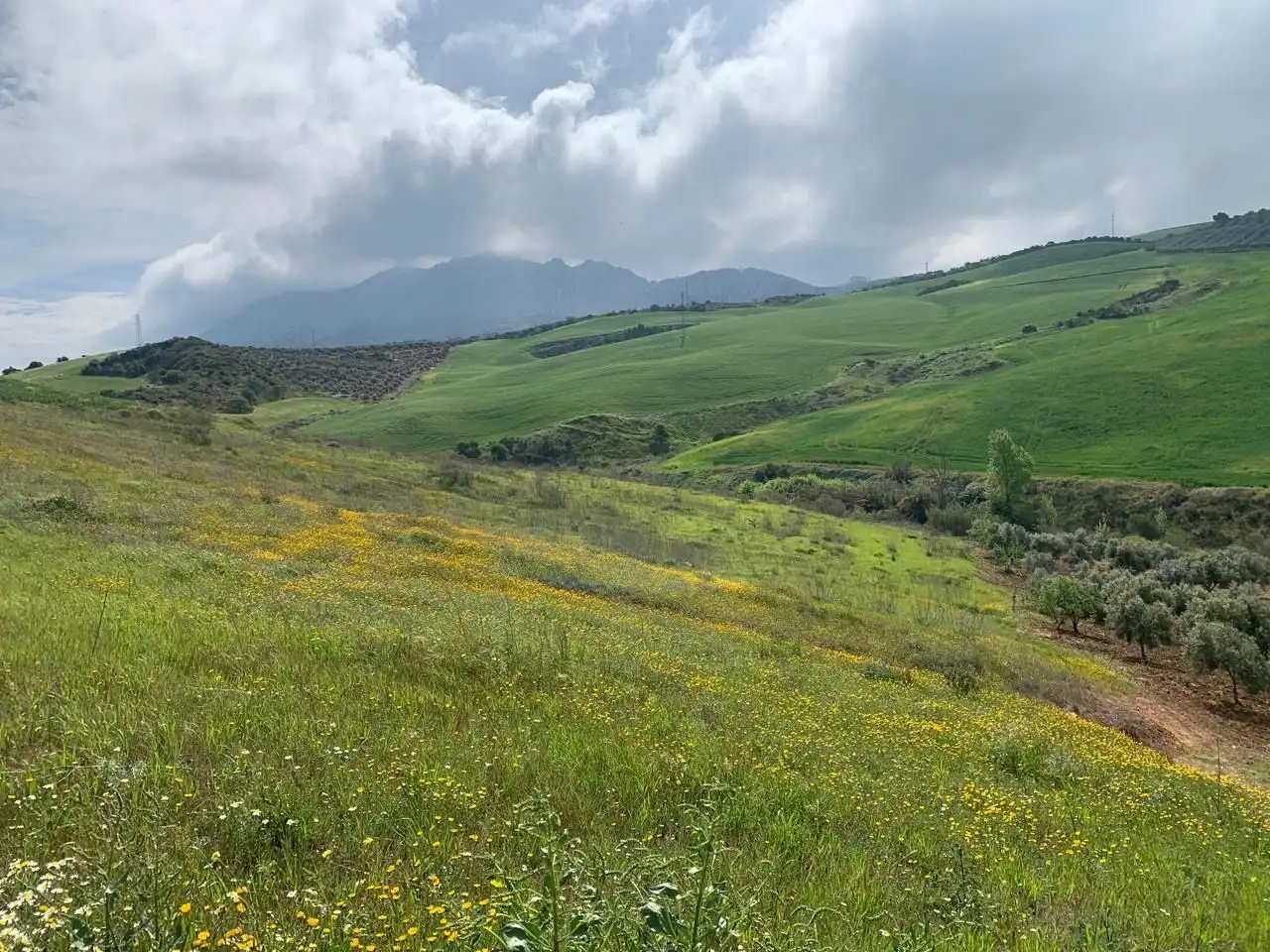 Terreny rústic en venda a Valle de Abdalajís, imagen 3
