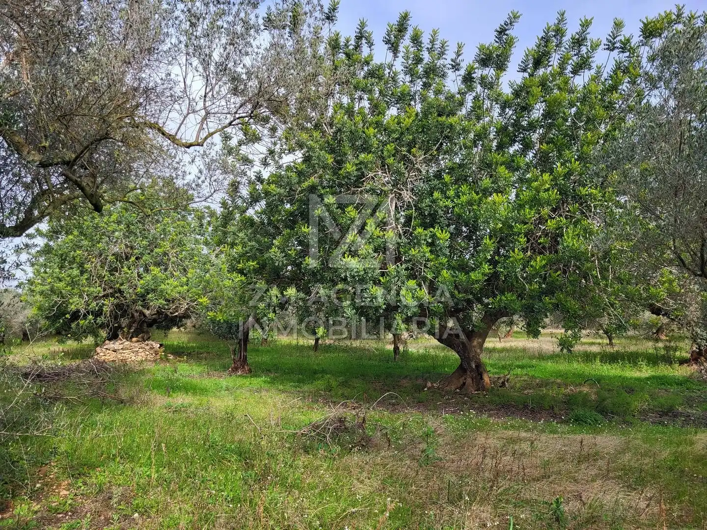 Terreno rustico in vendita a Cabanes, imagen 17