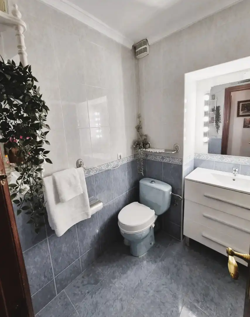 Flat with lift for sale in Avenida de las Postas 23, imagen 9