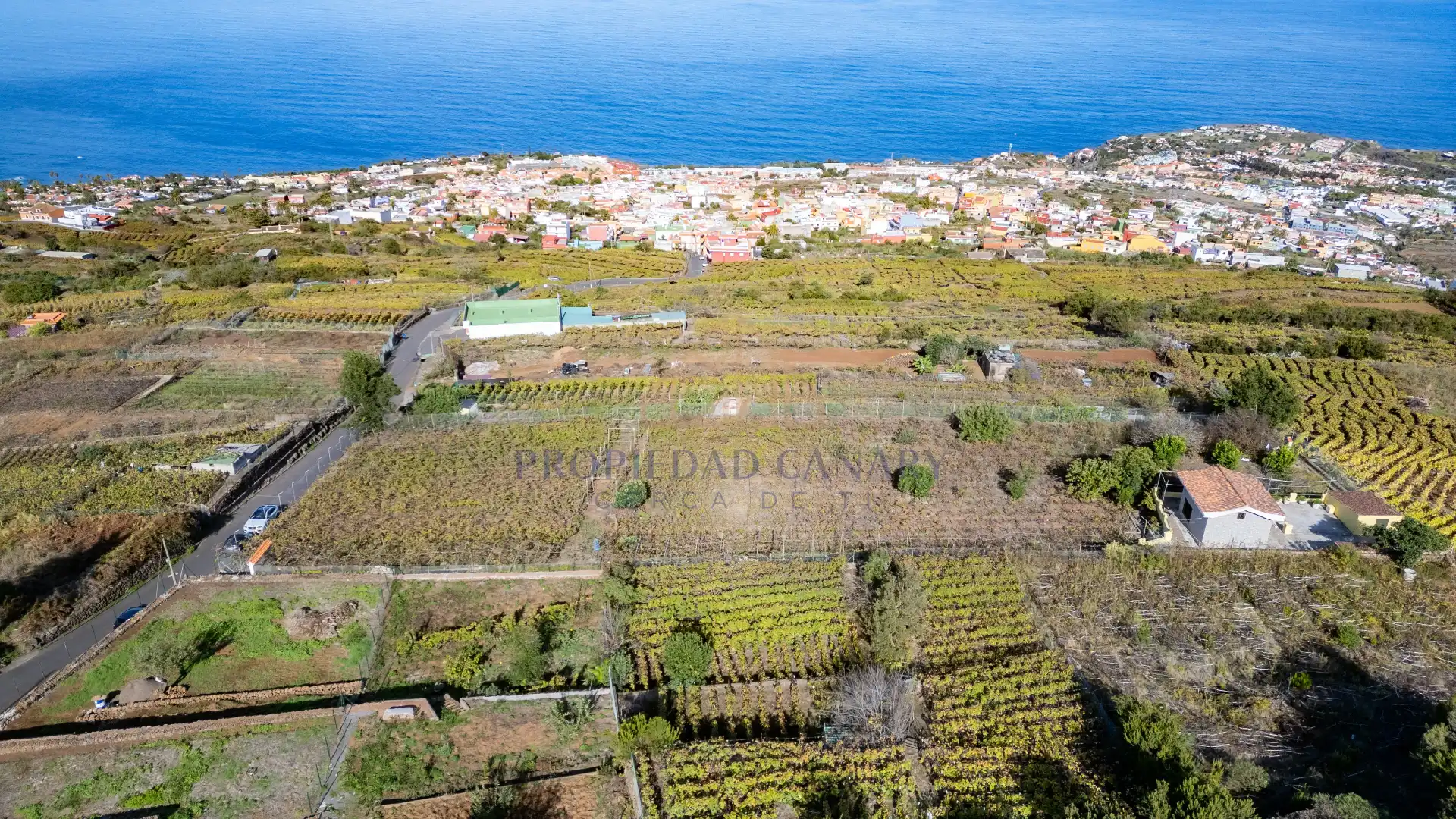 Finca rústica en venda en Santa Úrsula amb Terrassa
