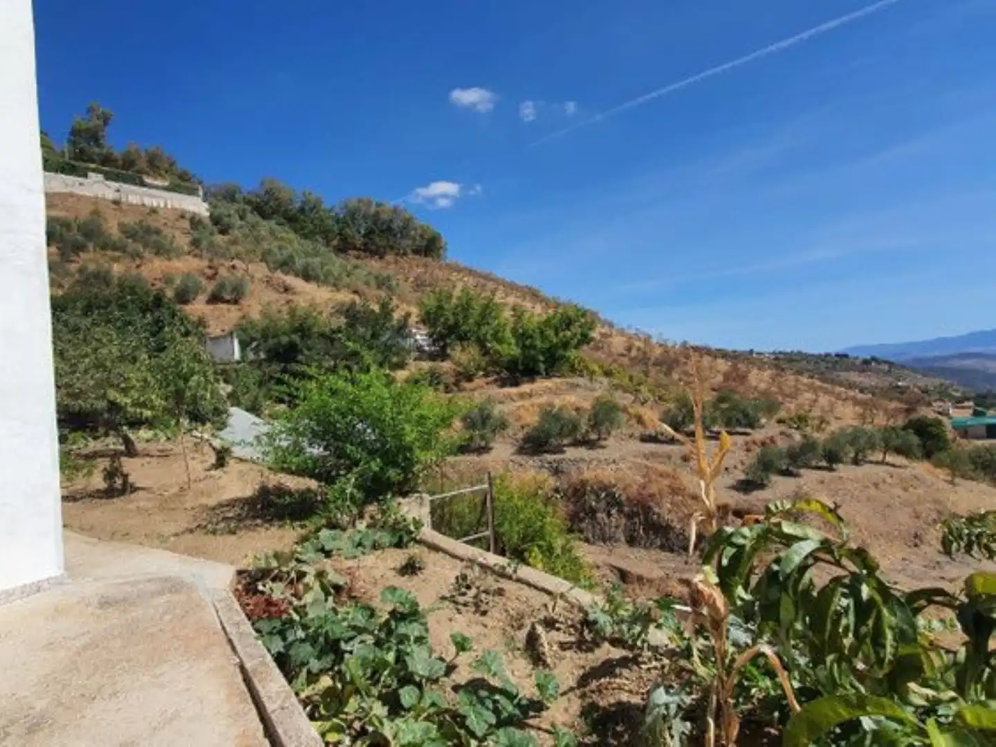 Garden of Country homes for sale in Yunquera  with Terrace, Storage room and Swimming Pool