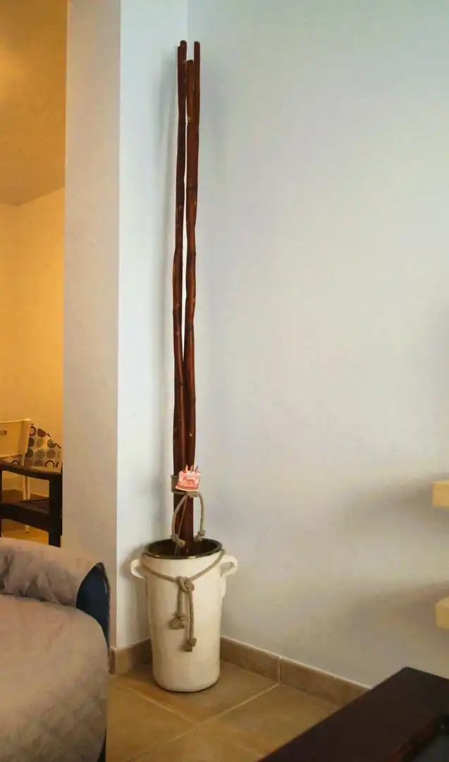 Apartment with lift for sale in Tarifa ciudad, imagen 43