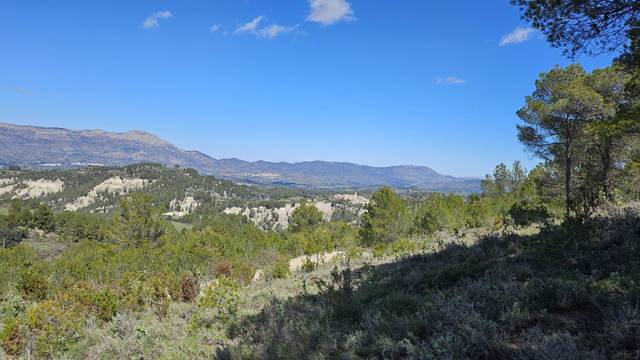 Terreno en Venta en Millena