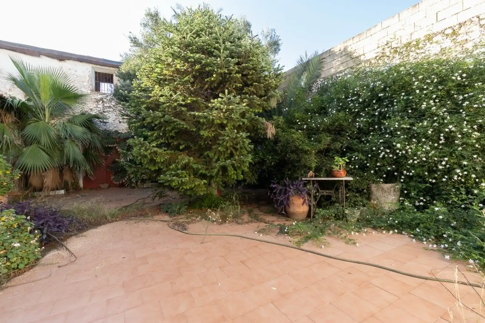 Terrain rustique à vendre à Benifairó de la Valldigna - HORTA, imagen 28