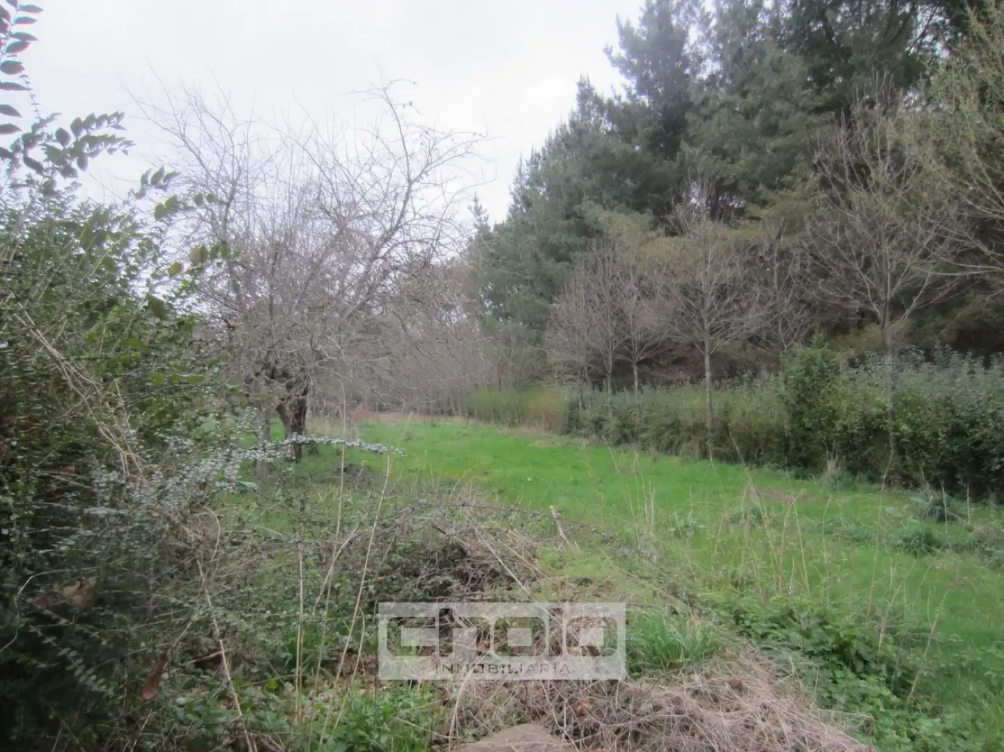 Houses for sale in Outeiro de Rei