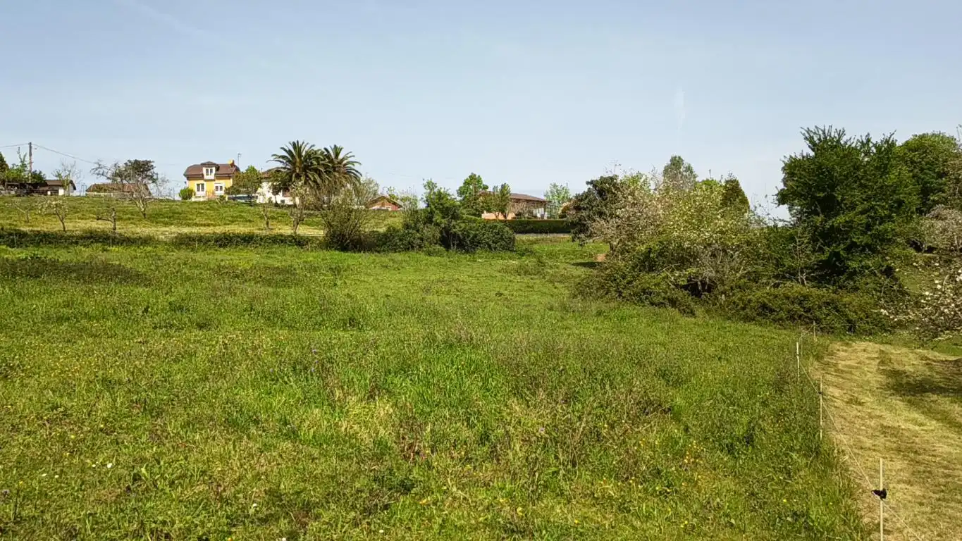 Terreno residencial en venta en AS-39, imagen 7