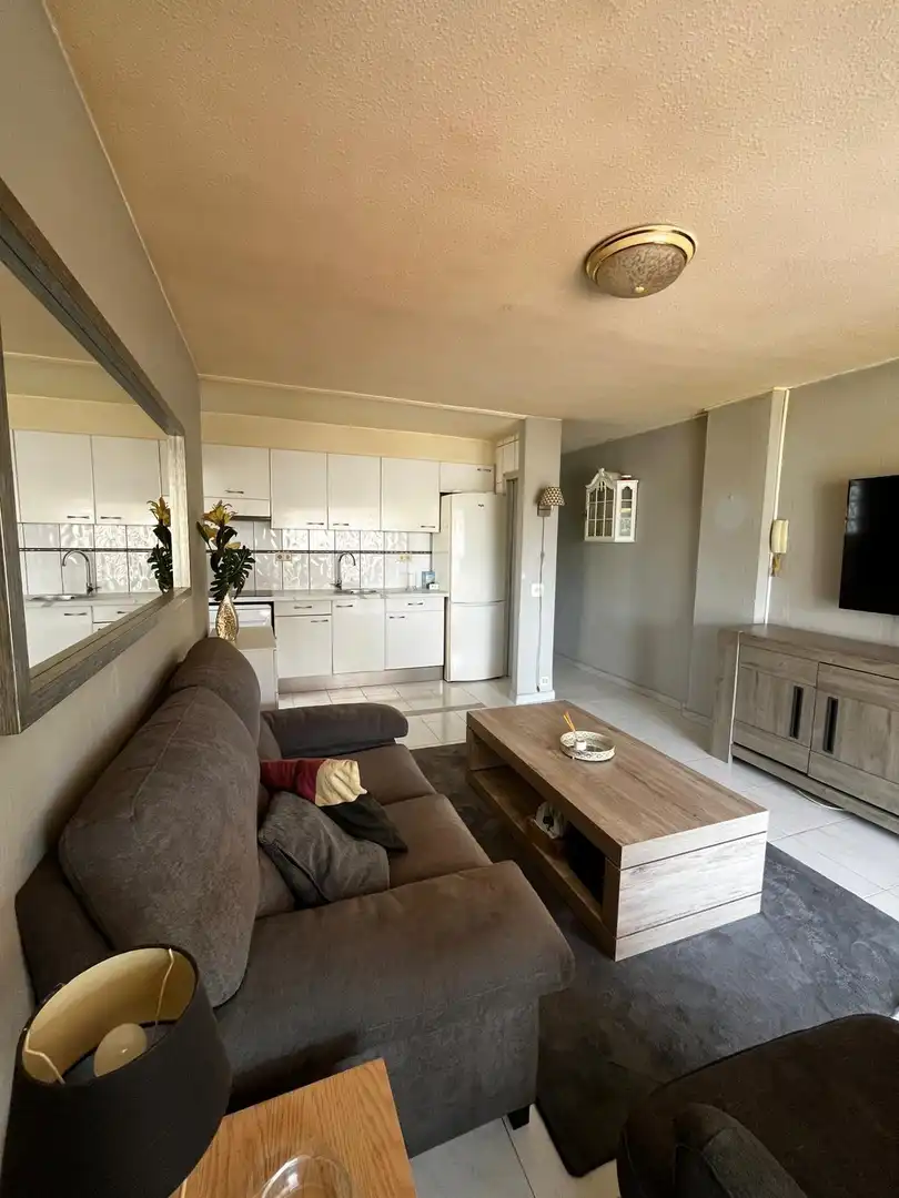 Sala d'estar de Apartament en venda en Benidorm amb Aire condicionat, Calefacció i Moblat