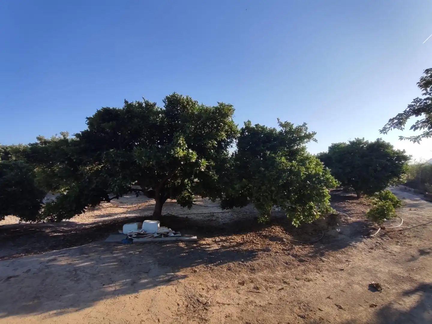 Casa o chalet en venta en Almoradí con Aire acondicionado y Alarma