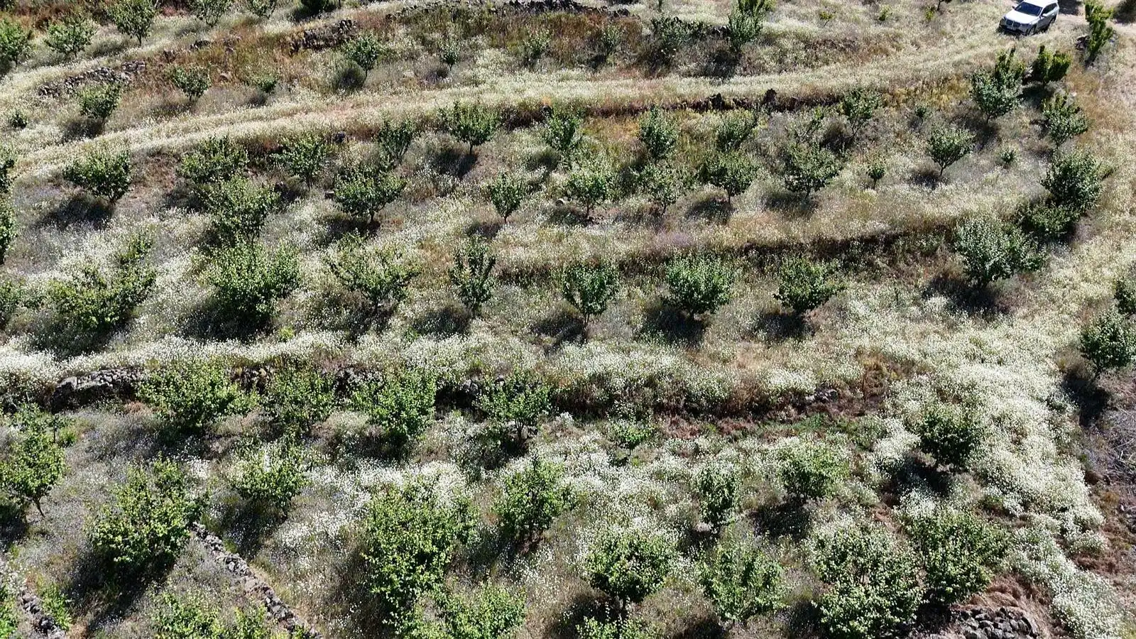 Terreni e lotti in vendita a Urbanizacion el Pajarejo, imagen 25