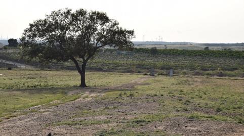 Foto 4 de Finca rústica en venda a Camino Diseminados, Villablanca, Huelva