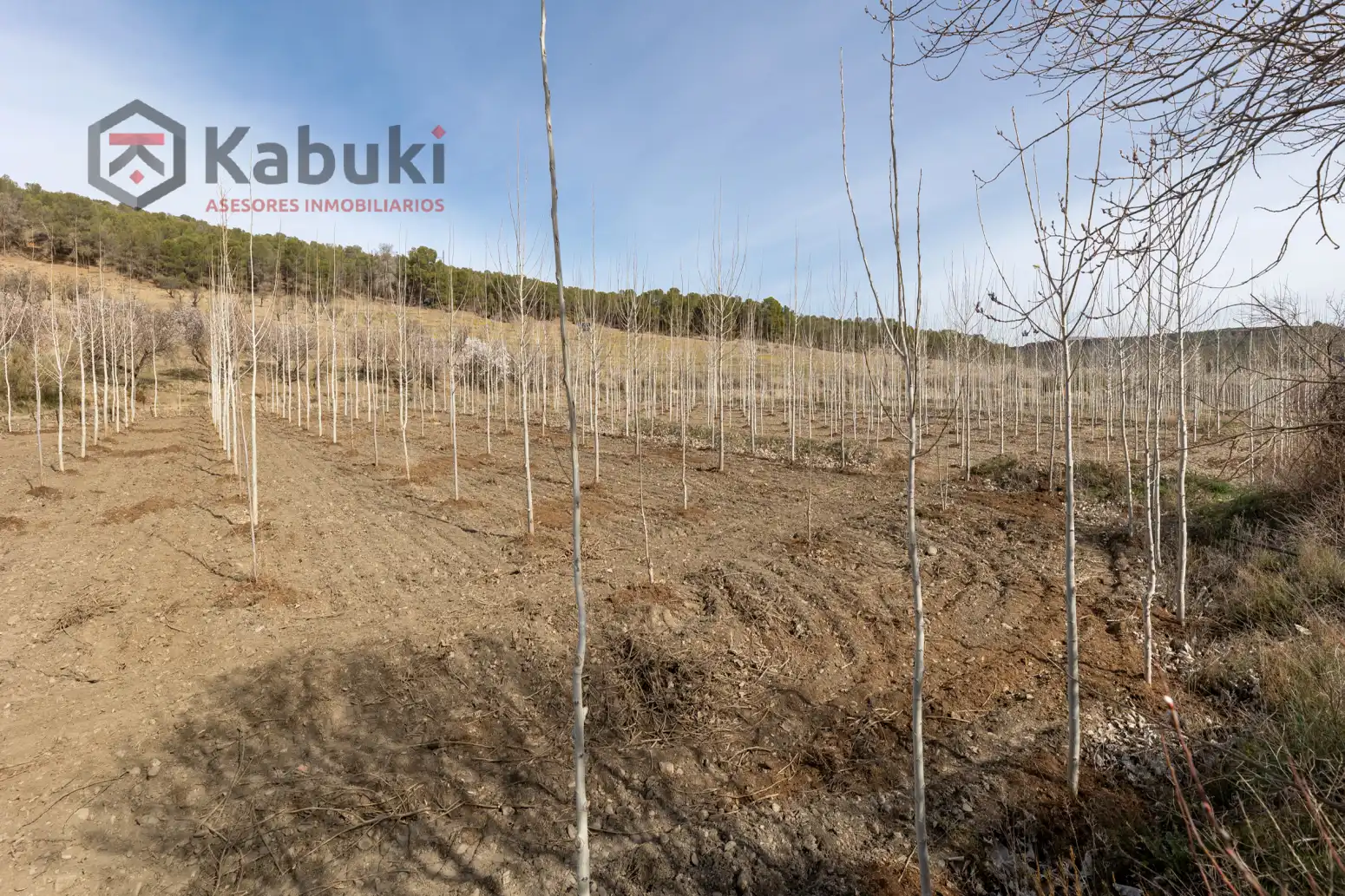 Terreni e lotti in vendita a Guadix - AUTE. VALLE DEL ZALABI, imagen 4
