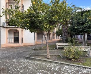 Vista exterior de Planta baixa en venda en Aguilar de la Frontera amb Terrassa i Traster