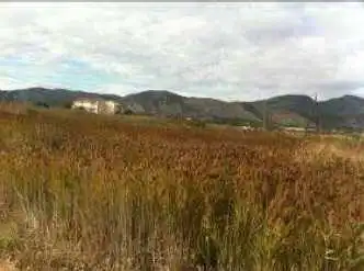Terreno rústico en venta en Av Cami Els Lladres, imagen 7