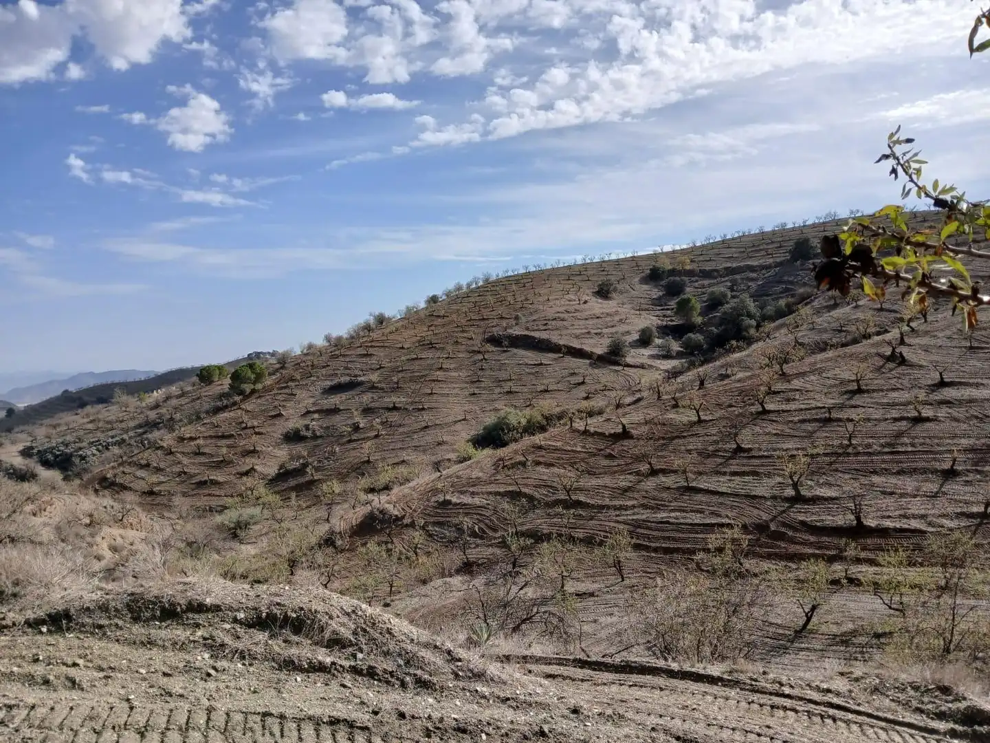 Terrenys i solars en venda a Puerto Lumbreras, imagen 19