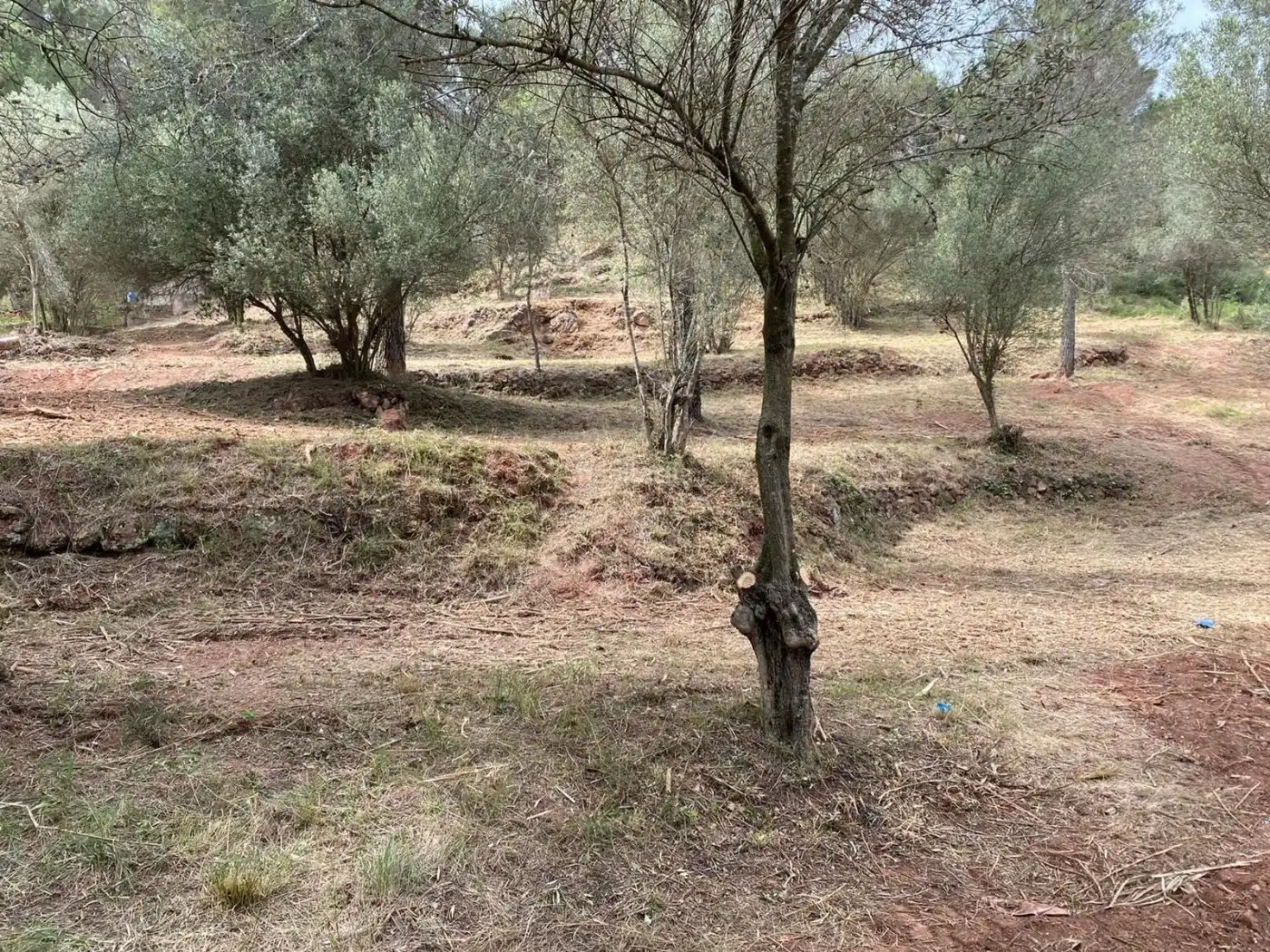 Terreno residencial en venta en Carrer de l'Óssa Major 18, imagen 14