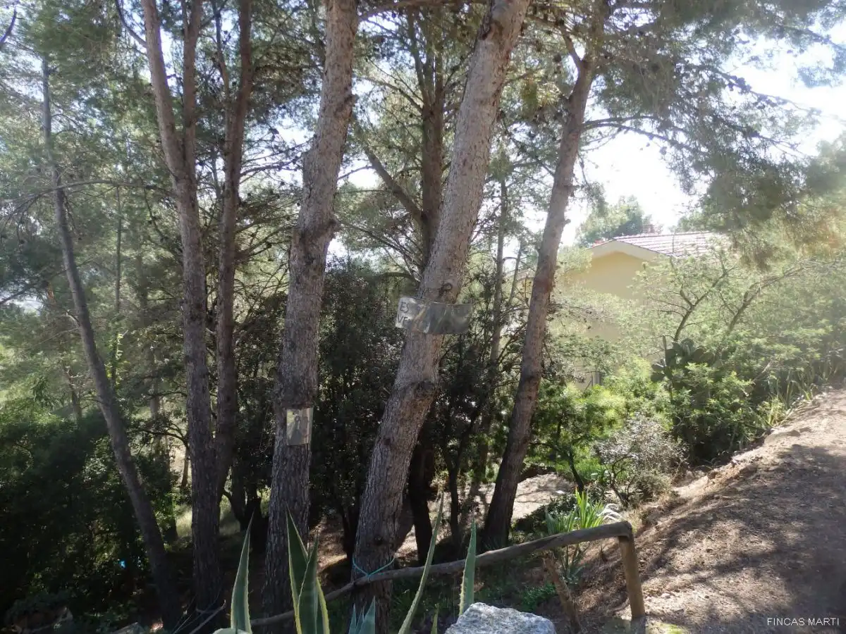 Terreno residenziale in vendita a Riudecanyes, imagen 2
