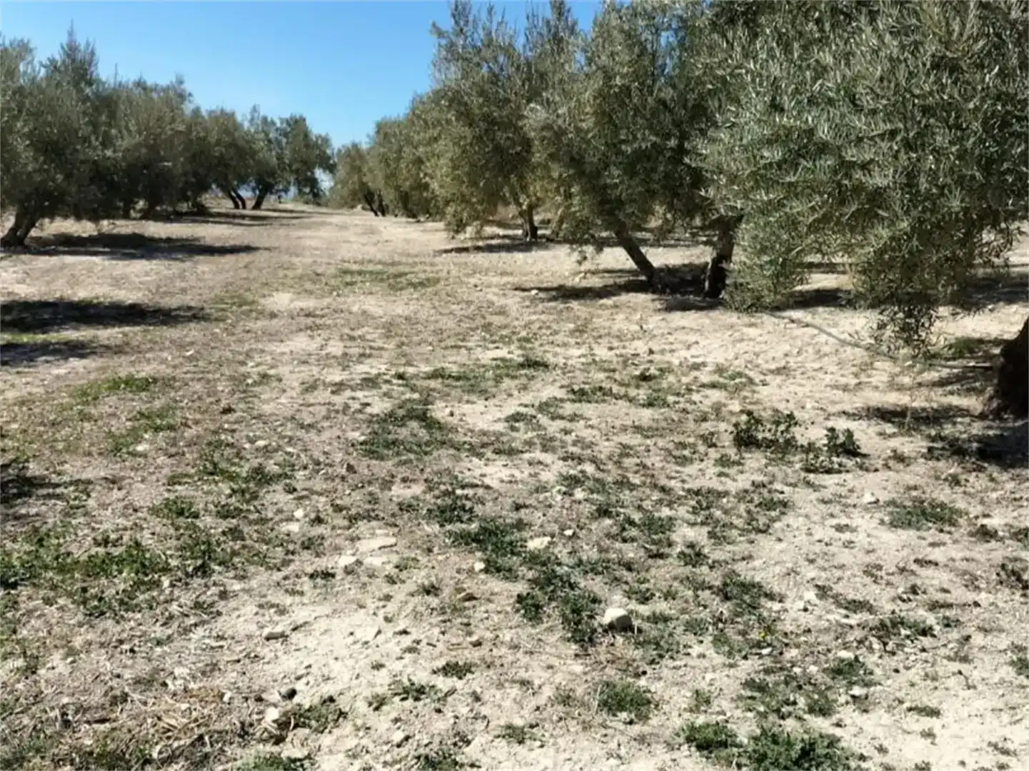 Terreno en venta en Huesa