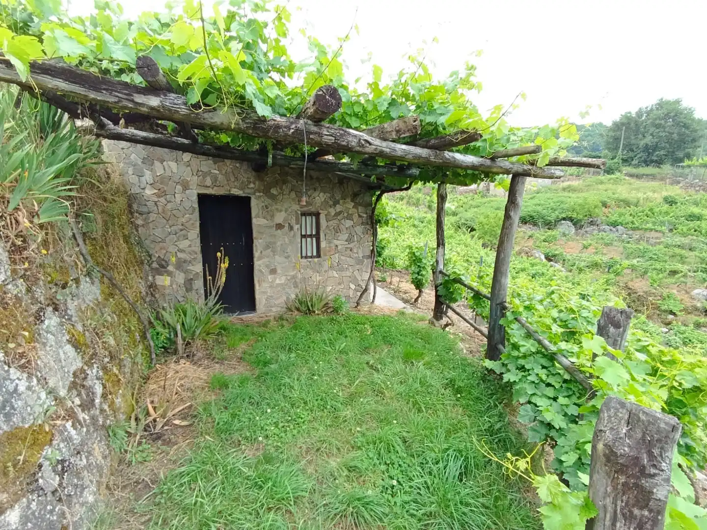 Bungalow con jardín en venta en O Saviñao, imagen 2