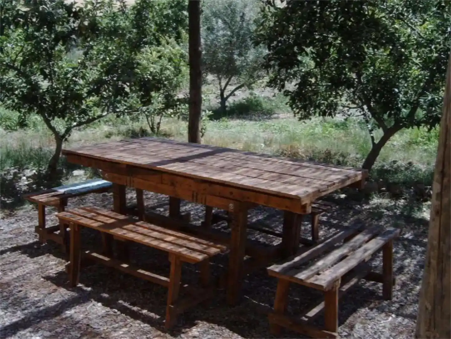 Terraza de Casa o chalet en venta en Usagre con Jardín privado
