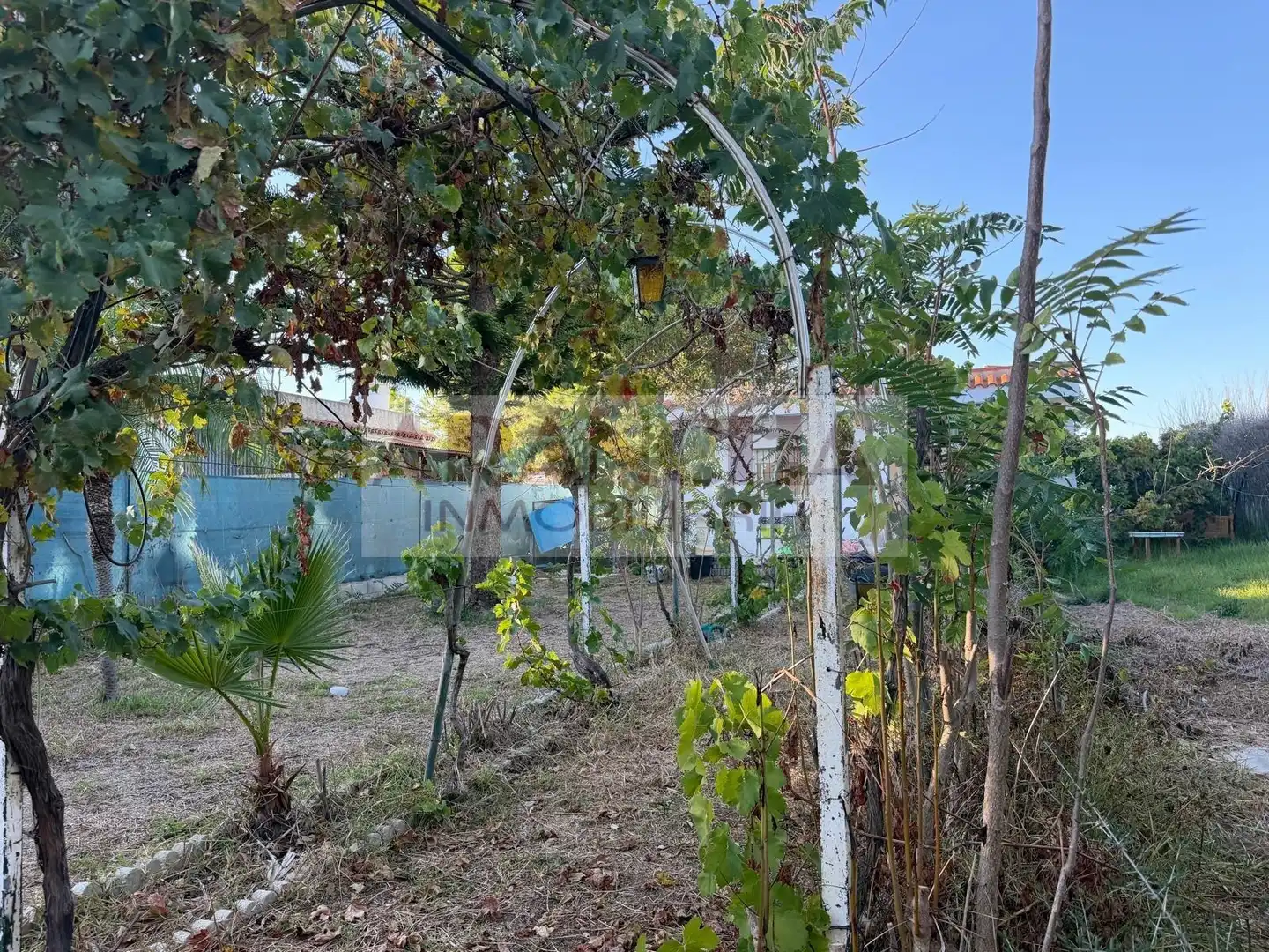 Terreno rustico in vendita a Las Tres Piedras - Costa Ballena, imagen 11
