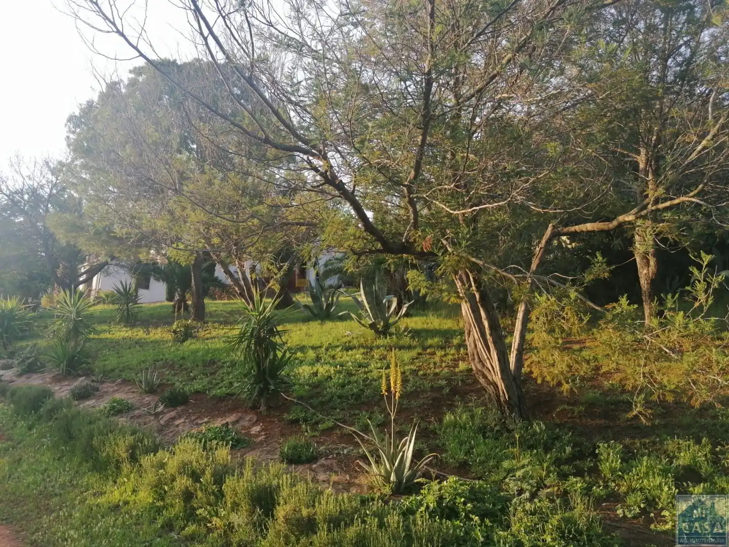 Finca rústica en venda a Alange