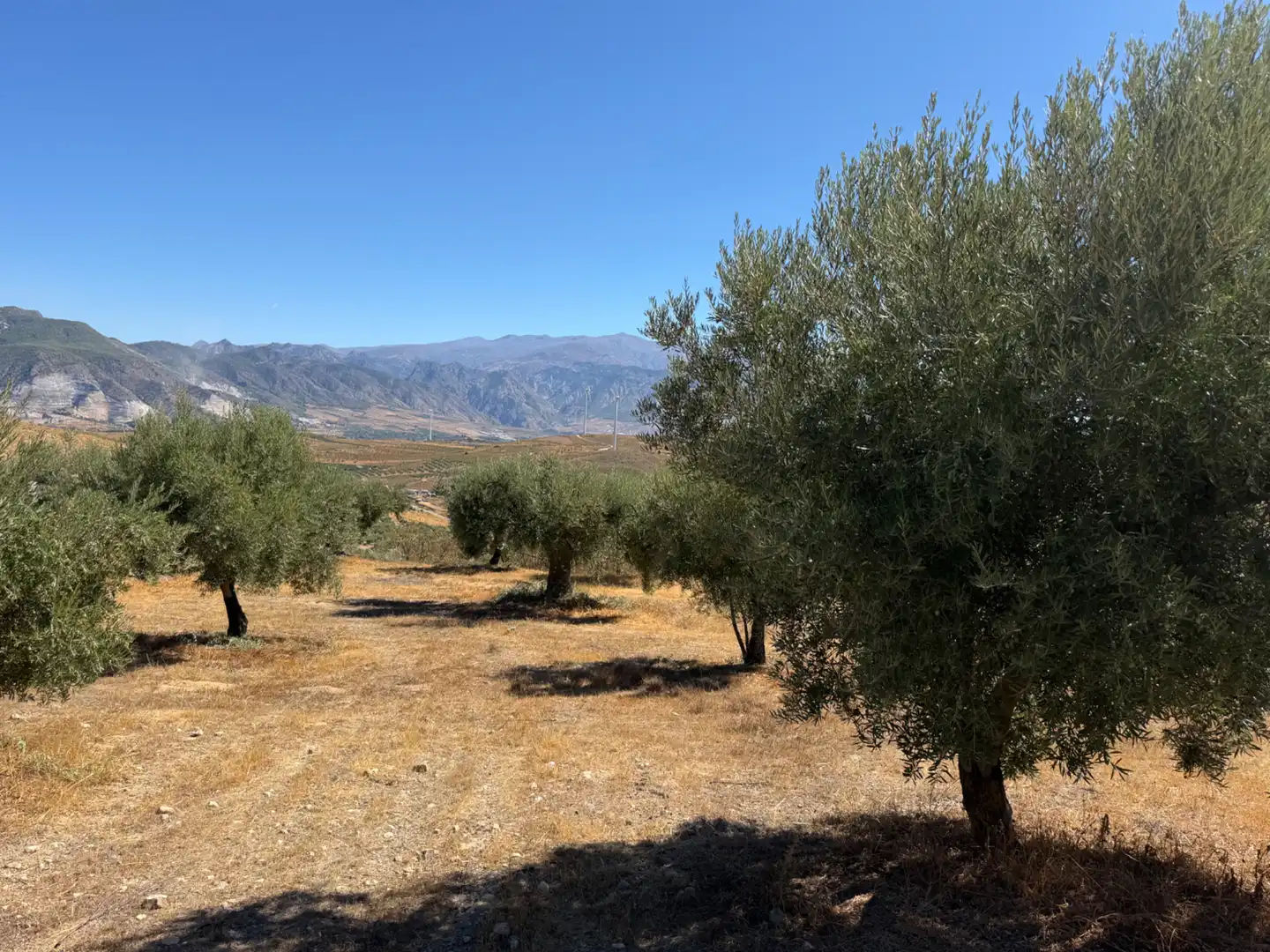 Terreno rustico in vendita a Camino de la Sierra, imagen 17