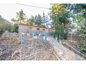Vista exterior de Finca rústica en venta en San Bartolomé de Tirajana con Jardín privado y Terraza