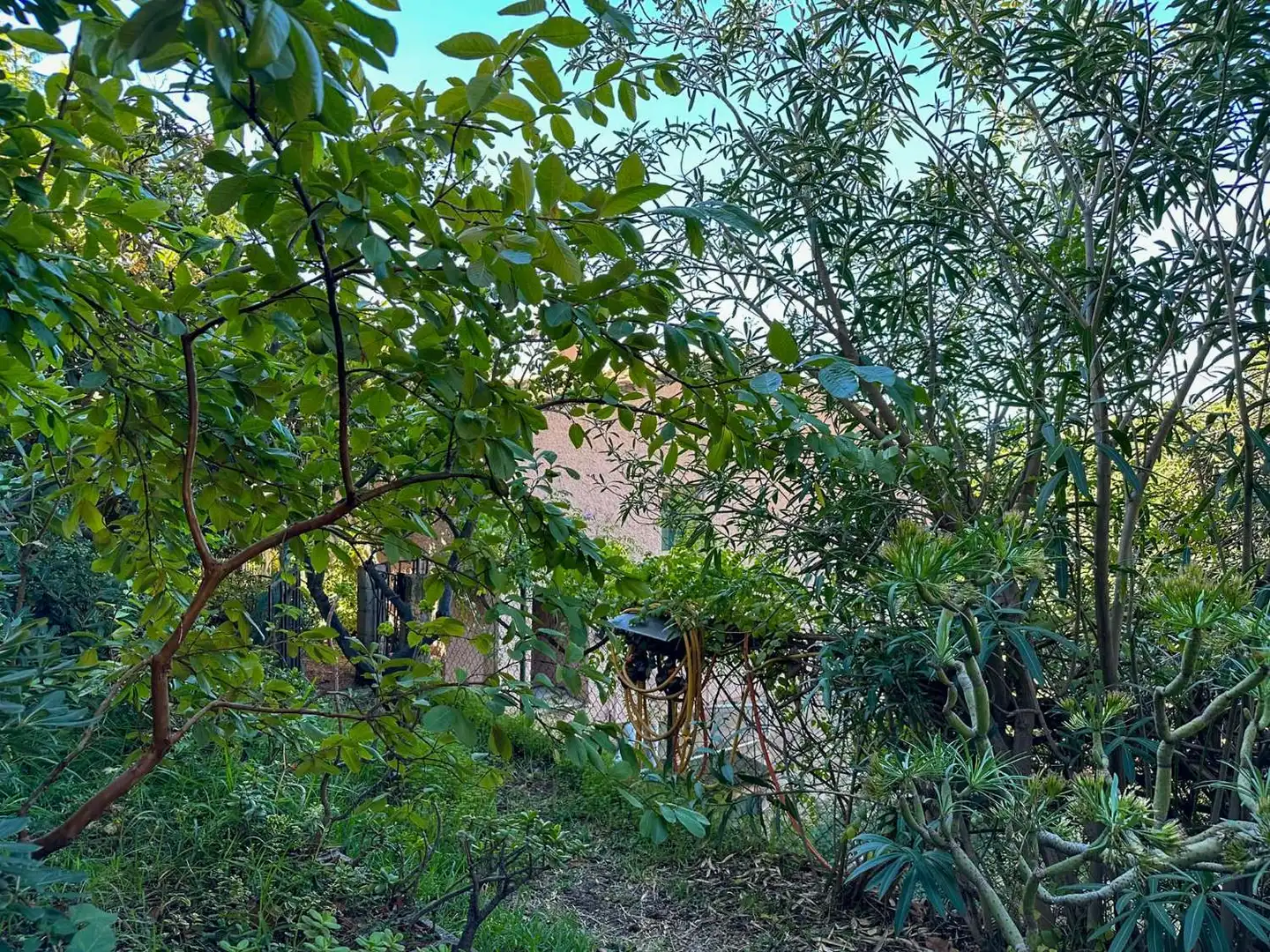 Jardín de Casa o chalet en venta en Almuñécar con Aire acondicionado, Calefacción y Terraza