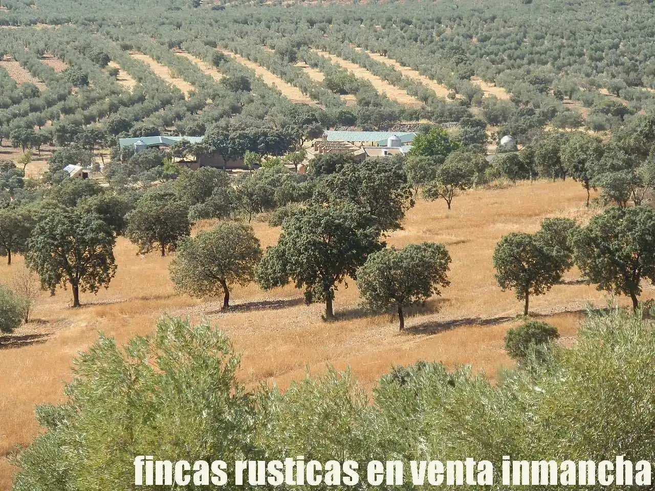 Terreny rústic en venda a Fuente el Fresno