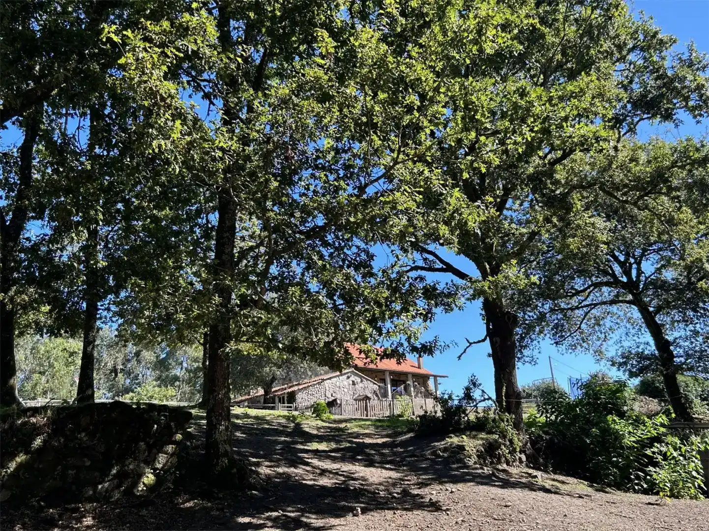 Vista exterior de Casa o xalet en venda en Fornelos de Montes