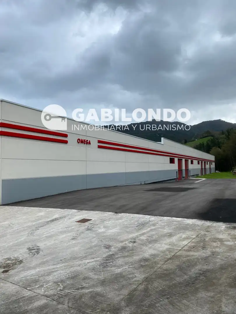 Nave industrial in vendita a Mendaro, imagen 3