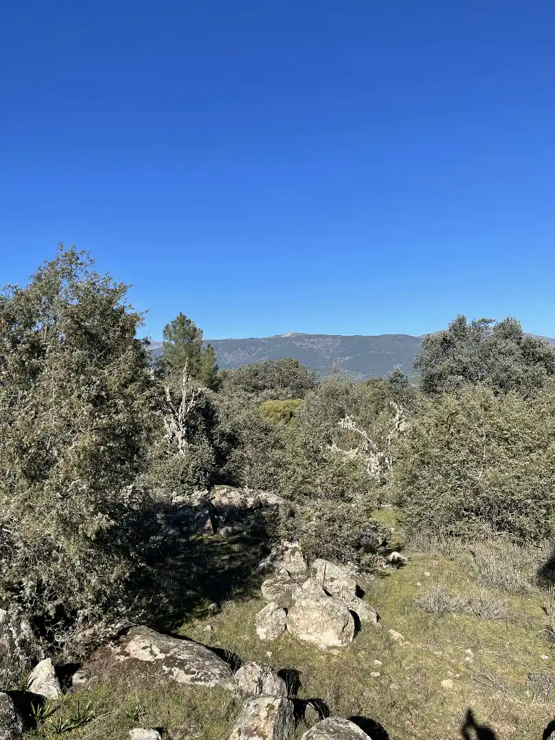 Terreni e lotti in vendita a Fresnedilla, imagen 19