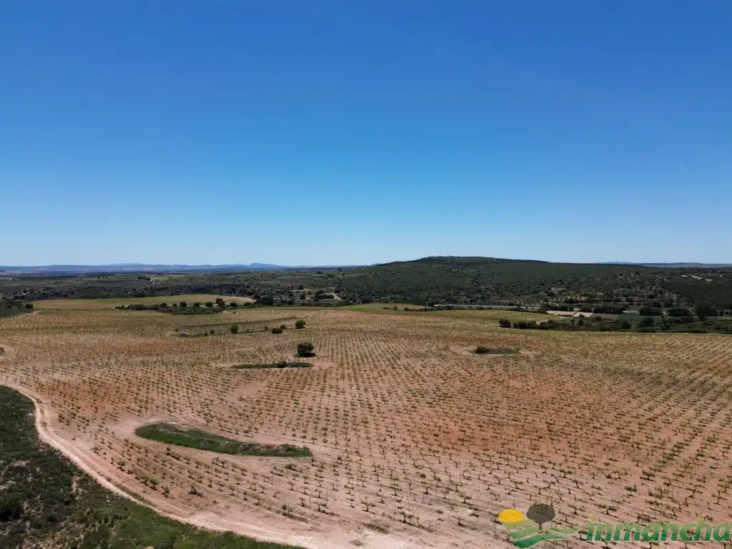 Terreni e lotti in vendita a Almansa, imagen 11