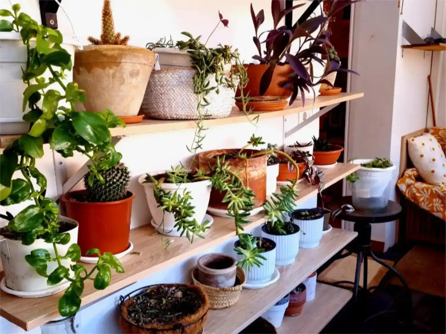 Terrassa de Apartament per a compartir en Barcelona amb Aire condicionat, Jardí privat i Parquet