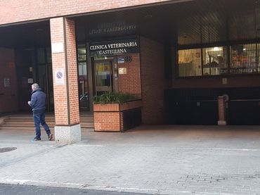 Individual con ascensor en venta en Calle de García de Paredes 86