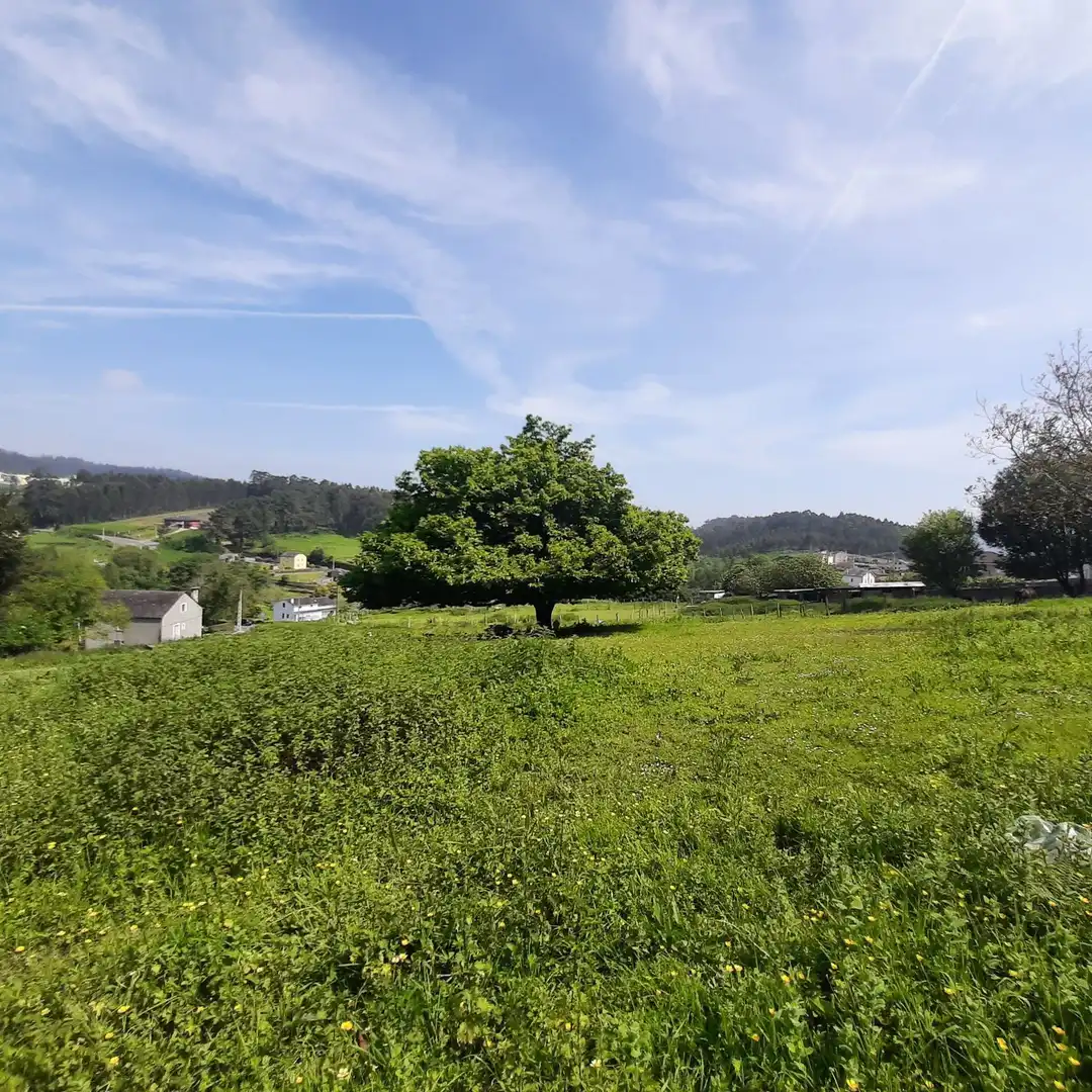 Finca rústica en venda en Viveiro amb Jardí privat
