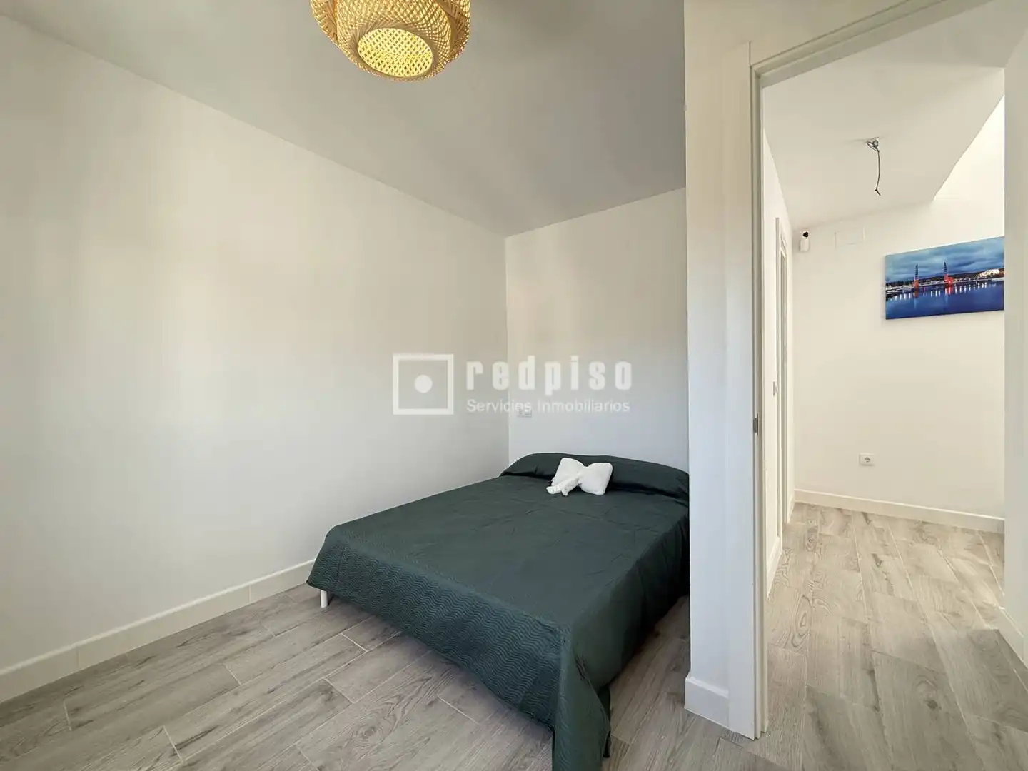 Houses for sale in San Alberto - La Alcubilla - Florisol