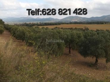 Terreno rústico en venta en Quermenço 3