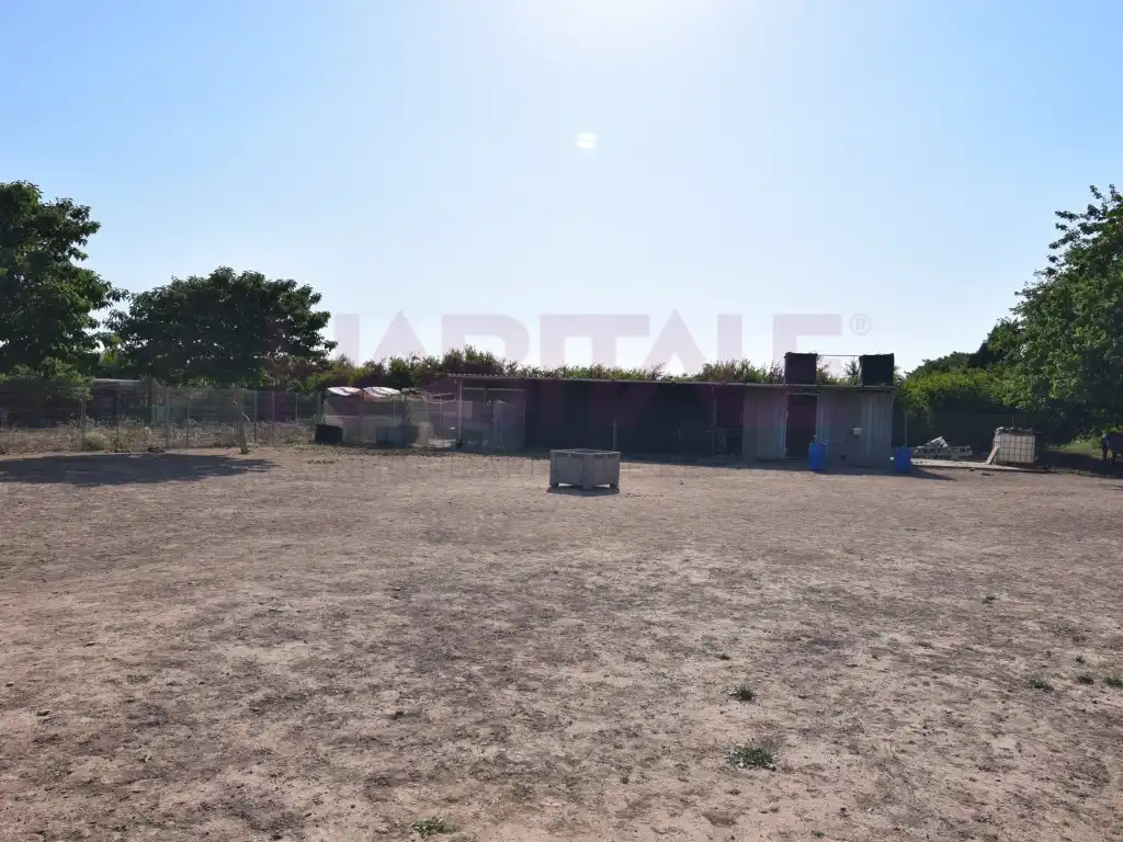 Terreno rustico in vendita a Poligono Poligono Numero 7, imagen 3