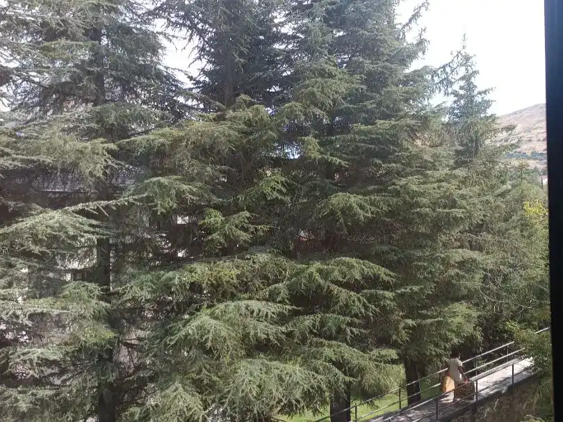 Piso de alquiler en El Espinar con Amueblado