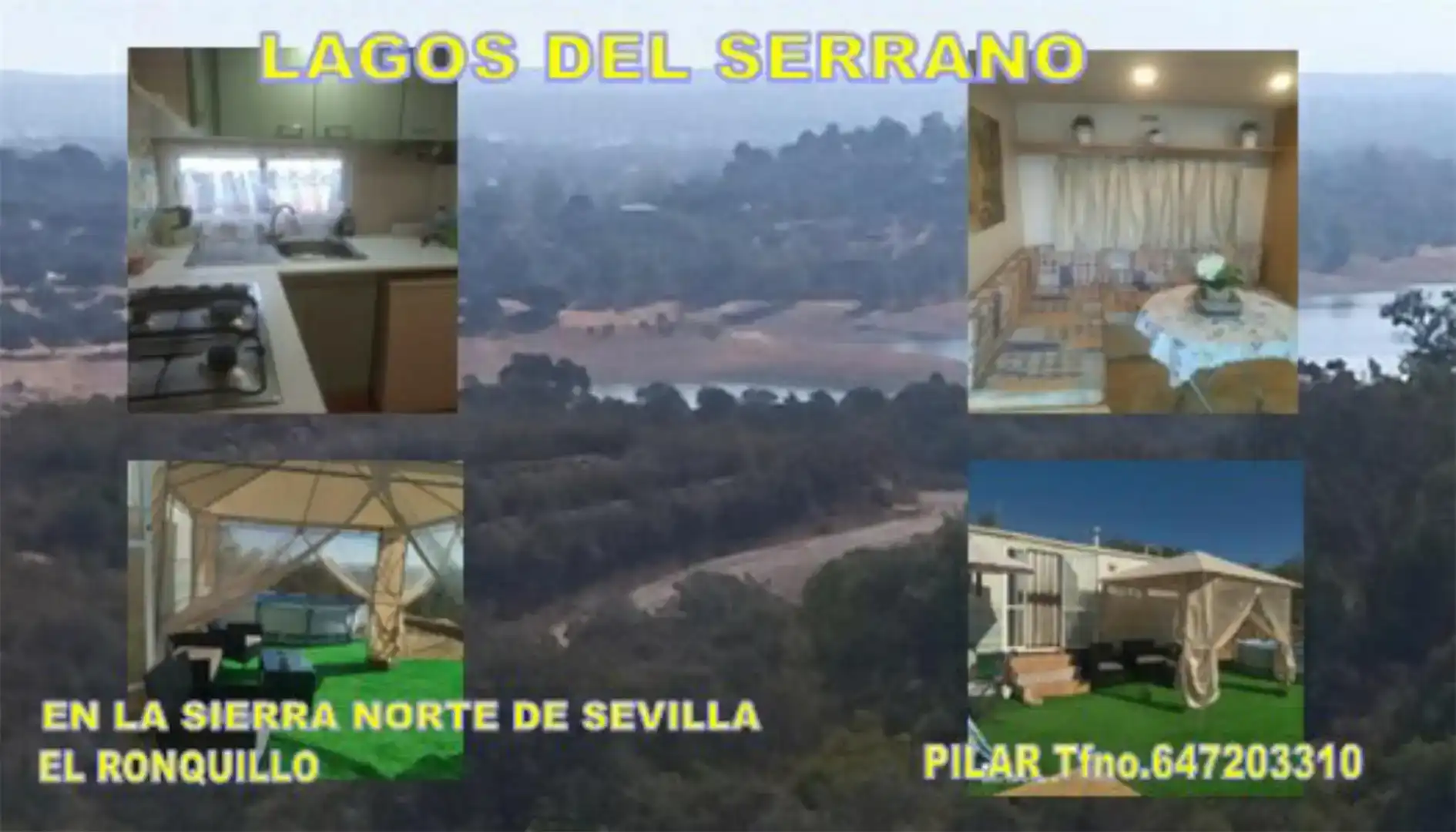 Vista exterior de Planta baixa en venda en Guillena amb Aire condicionat, Jardí privat i Parquet