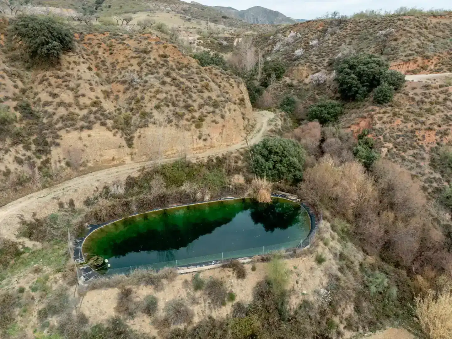 Piscina de Finca rústica en venda en Cádiar