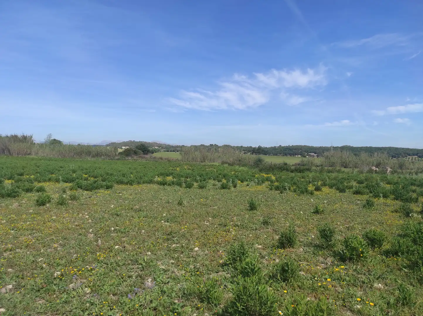 Terreno residencial en venta en Sineu, imagen 16